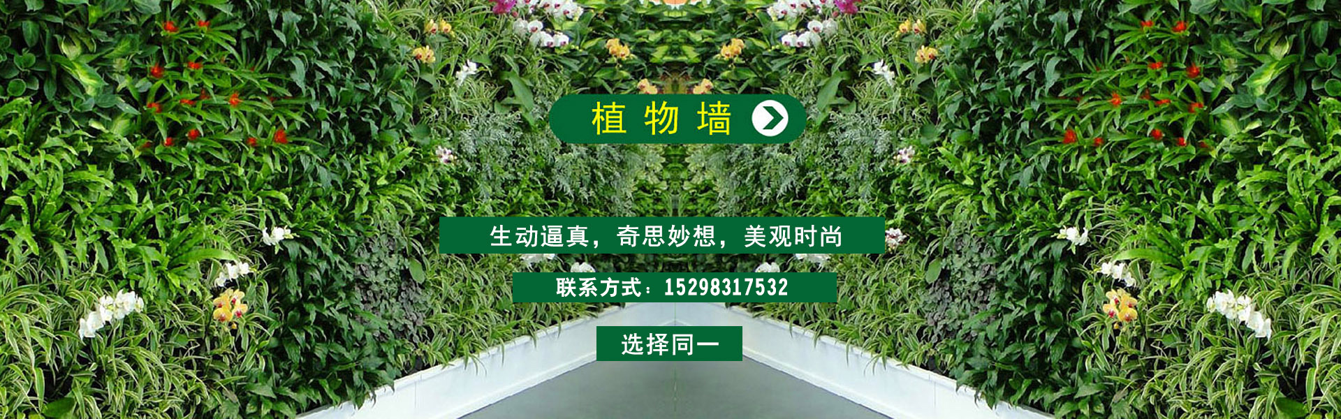 球盟体育app官方正版